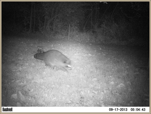 trailsnaps:Sept 17 2013