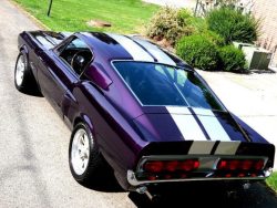 Wrongwithmechemically:  Naughtysoutherngirl1980:   67 Shelby Mustang   Car Porn…My