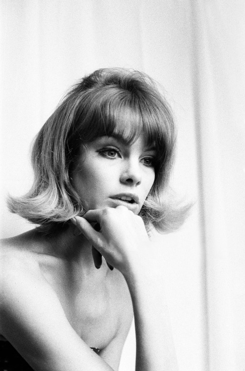 lostpolaroids:Jean Shrimpton for The Mirror (UK): March 28, 1963