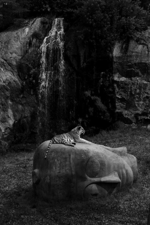 no-sirvo-para-amar.tumblr.com/post/107544716681/