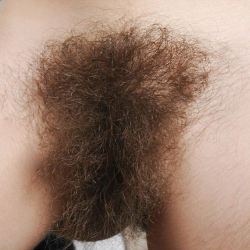 hairyholespost:  Fuck my hairy wet pussy!