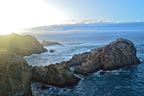 doujenshi:I love California’s coastline.