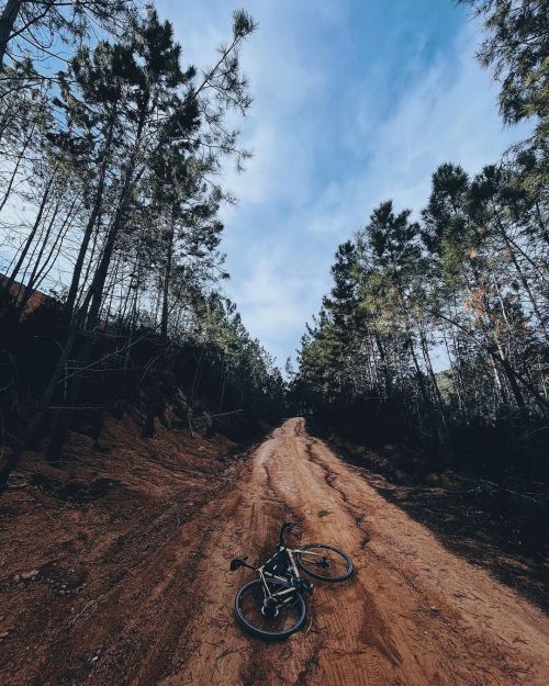 imbrazodehierro: Sundays are for #allbikesonthefloor . . . . #brazodehierro #bellecycles #therawstor