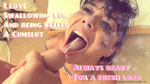 sissystable:  Saddle up Sissies at the Sissy Stable !!!