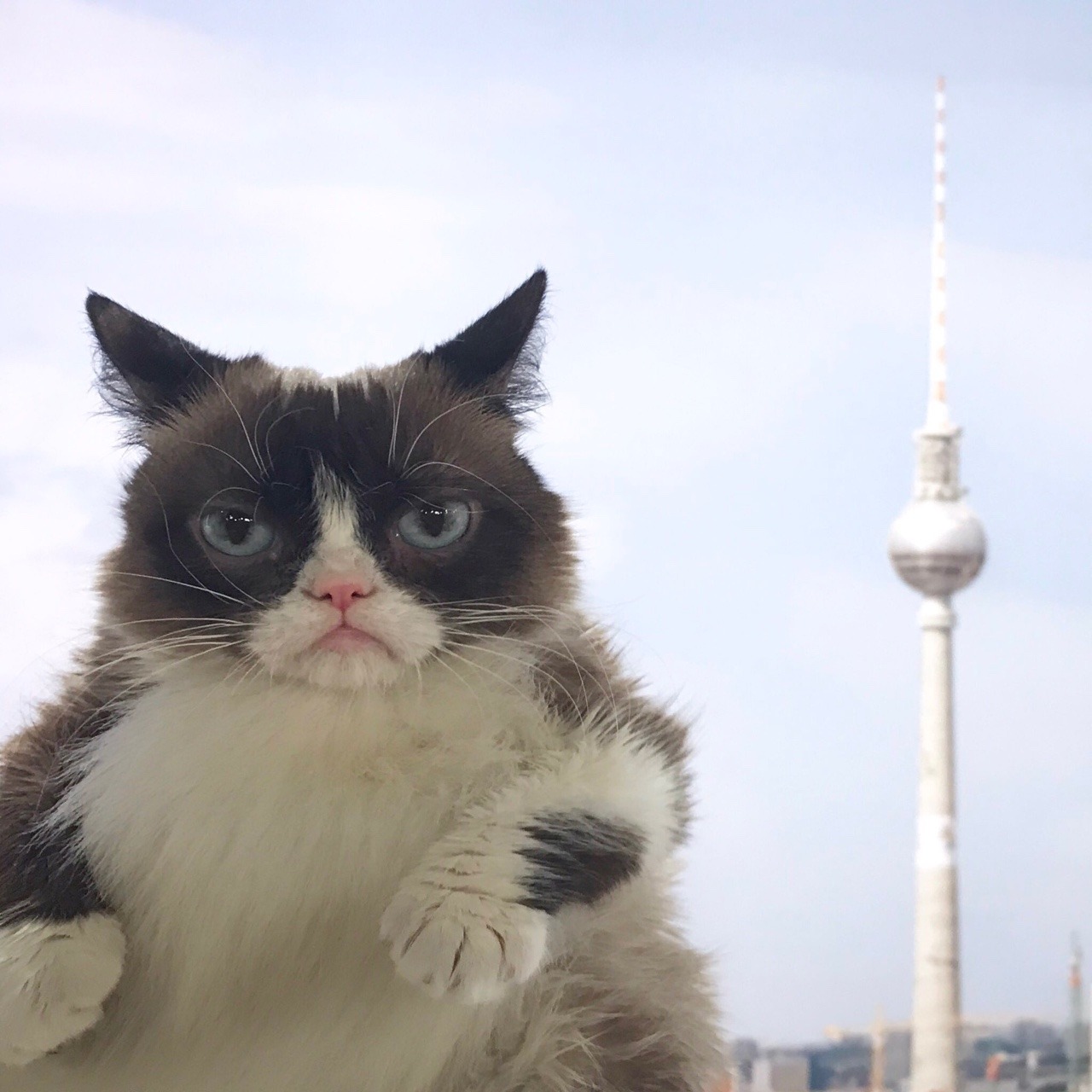 You’ve got to be kidding me. Berlin? Hating it already! #OpelGoesGrumpy
