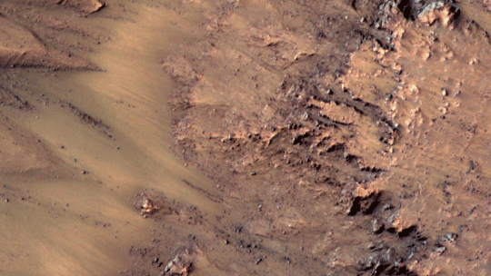 npr:  skunkbear:  The dark streaks you can see in these photos appear in sunny spots