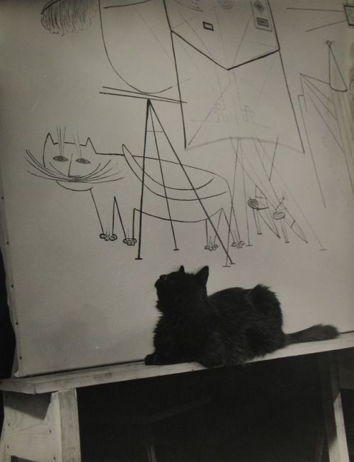 by Gjon Mili (1904-1984)his cat Blackie