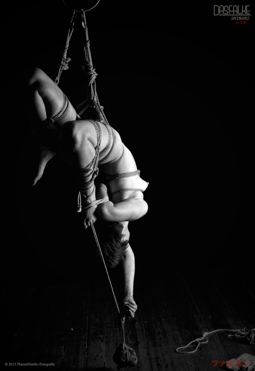 dasfalke-shibari:   Model:  Fiona Vvautrin. Ropes & Editing: DasFalke. Photography: http://phareanutello.tumblr.com/  Location: Berlin. 