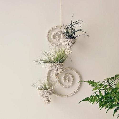 Wall Air Plant Holder //RetoDecor