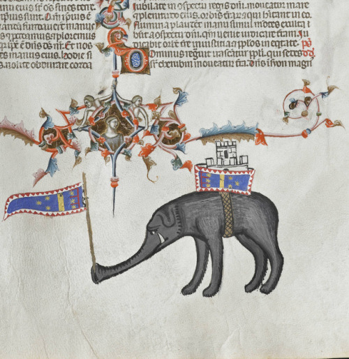 war elephantNaples ca. 1340Universiteitsbibliotheek Leuven, Cod. 1, fol. 146r