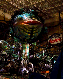 ashwilliam:  endless list of my favourite movie monsters: audrey II  - little shop of horrors (1986)