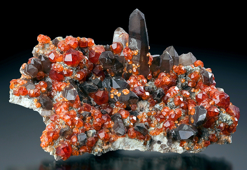 fuckyeahmineralogy:  Smoky Quartz and Spessartine Garnet; Tongbei, Zhangzhou Prefecture,