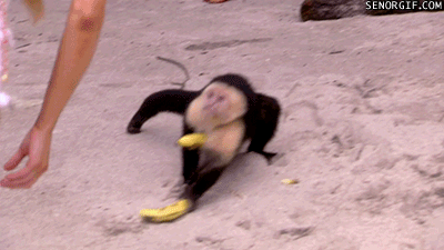 I love when seemingly vanilla people flood my notifications with likes and become