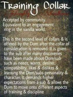 bdsmpetplay:This is one view of collaring in the D/s community, please ntoe collars are totally individualistic! *Images totally not mine*