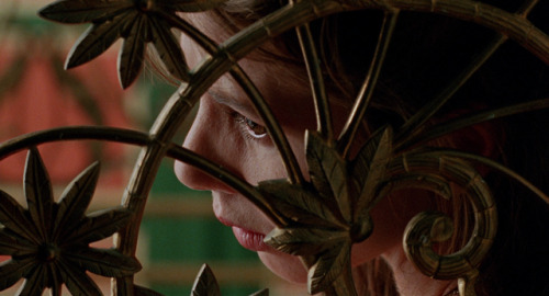 luciofulci:Tie Me Up! Tie Me Down! (1990)dir. Pedro Almodóvar
