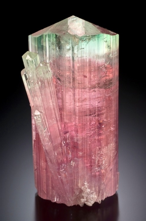 Elbaite Tourmaline - Paprok, Afghanistan