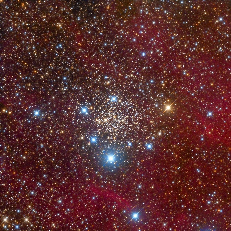 afro-dominicano:  IC1311 Open Star Cluster in Cygnus by Leonardo Orazi     IC 1311
