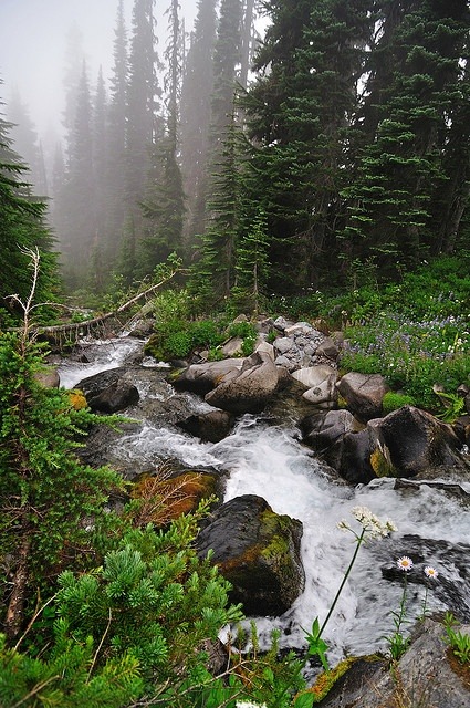 earthflowur:  - 