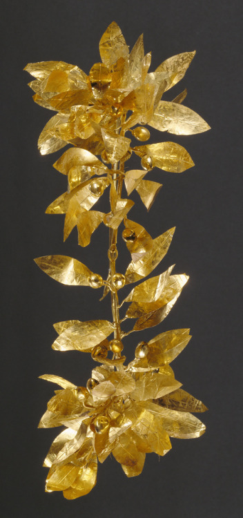 didoofcarthage: Gold wreath with detached stem including leaves and berriesGreek, Hellenistic Period