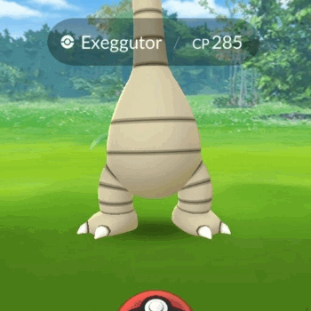 Did Anyone Catch An Alolan Exeggutor?