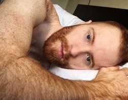 GINGER MEN LOVER