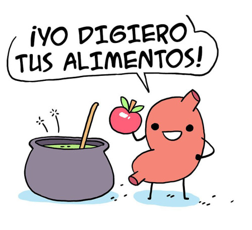 Owlturd