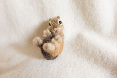 Chipmunk brooch available at my Etsy shopHe requires a tiny nut :>