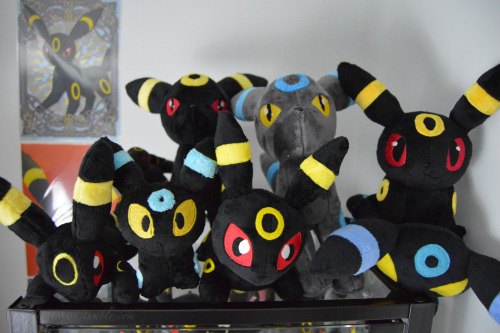 My Umbreon collection has been rehomed into a brand new case :D Here’s everything minus the flats, s