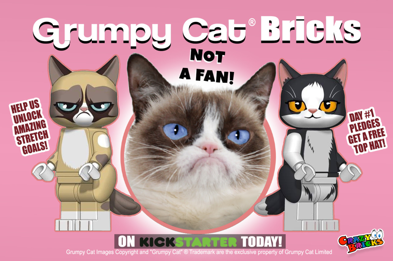 Grumpy Cat® Bricks