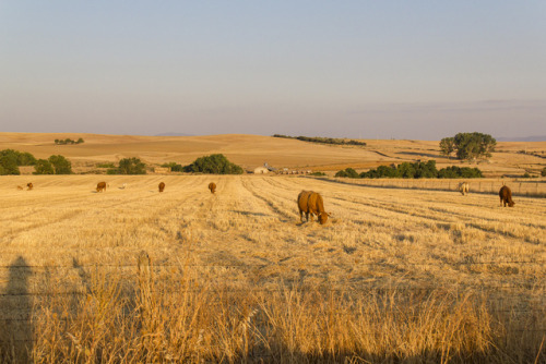 Gallegos de Argañán, Salamanca, Castile and León, Spain. VIA.