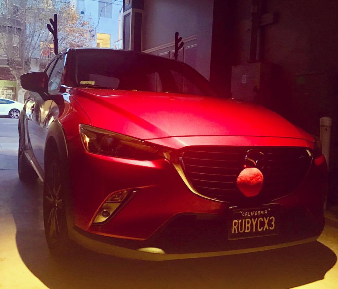 lancenavarro:  Ruby, the red-nosed Mazda.  I’m told I have to be polite behind
