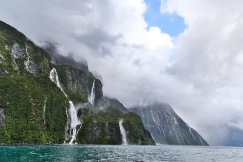 Deep-sea life in the fiords: Part 1When people visit Fiordland, New Zealand, they are awed by the ma