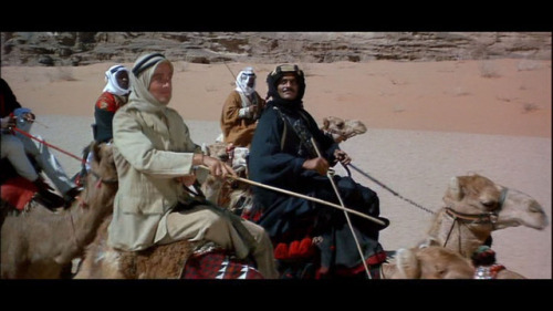 conan-doyles-carnations:Gays In The Desert, the first moodboard