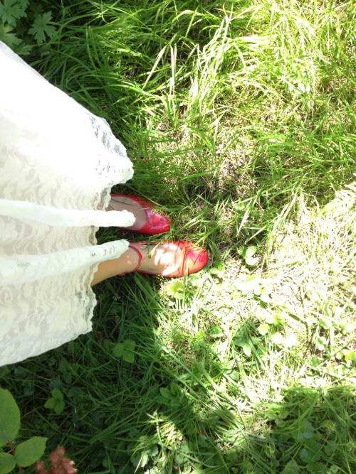 mercurieux:  looking up what kind of wildflowers reside in the garden (it was such a beautiful day) 