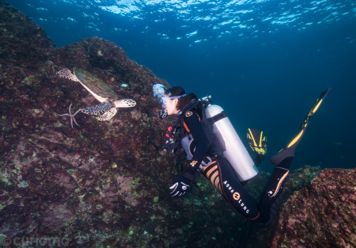 Speech bubbles actually exist underwater. I think this one contained the words “oh shit!” - photo ta