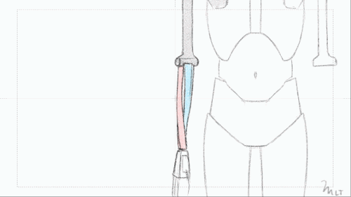 Arm Studies' First Animation Is The Forearm Bones! They Twist Interestingly.