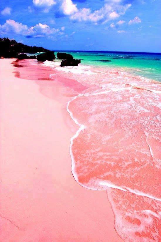 bellazona:    Pink Sandy Beach In The Island Harbour, Bahamas 