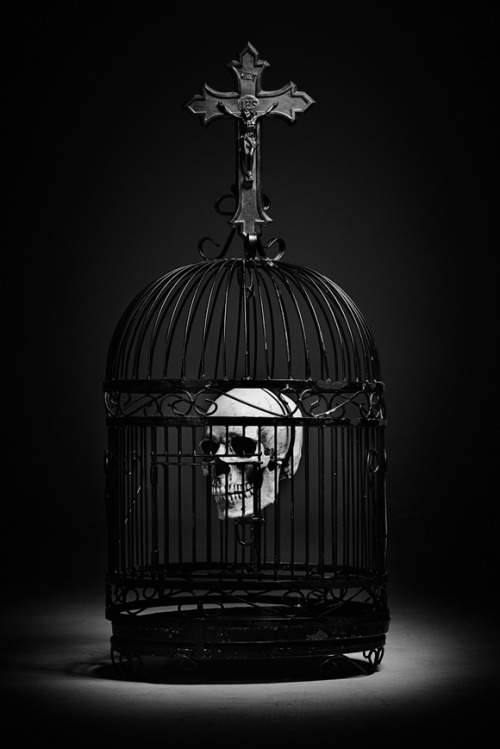 blackoutraven:  Out Of Darkness 