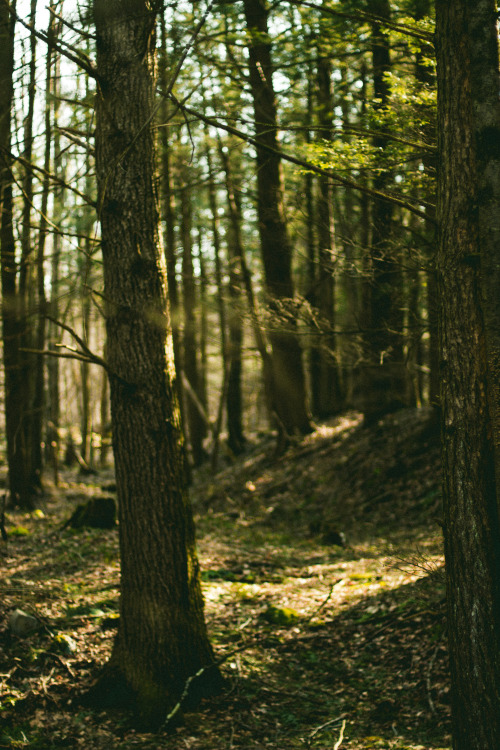 And How The Sunlight Seemed To Sing That Morning // Part 33