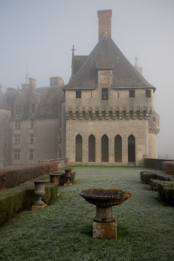 lovebeautyawonderfulworld:  Château de Langeais  