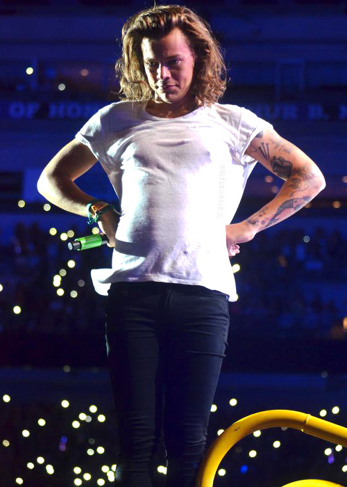 Harry on stage in Baltimore! (August 8 2015)