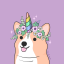 puppish-3