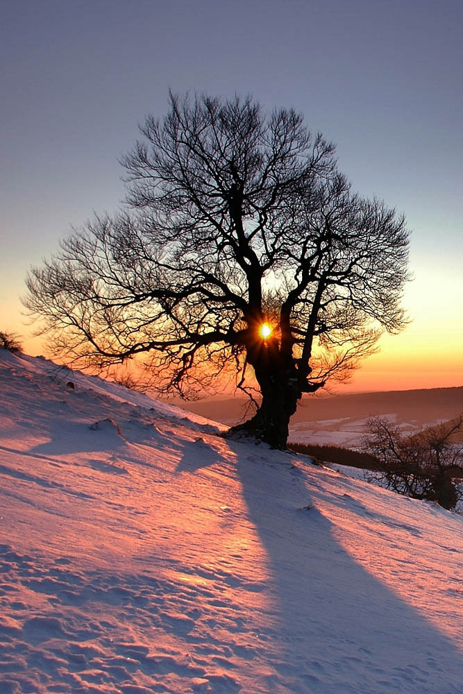 ponderation:  Hexenbuche by maresusa  