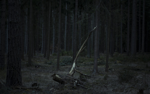 kamilanoranetik:https://www.facebook.com/KamilaNoraNetik