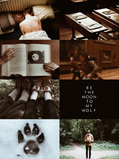 HP AESTHETICS: remus “moony” lupinmore herex