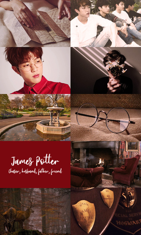 whiteconfession: 366/580 Days Until Sungyeol’s ReturnSungyeol as James Potter“Until the 