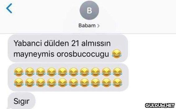 Yabanci dülden 21 almıssın...