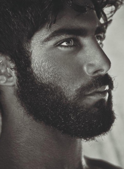rim-runner:  Assad Shalhoub  