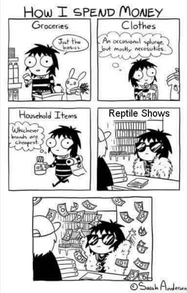 biofaunaexotics: Adulting is hard. EDIT: So apparently seeing the name of the artist on this piece i