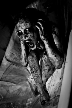 DIE WITHOUT HOPE